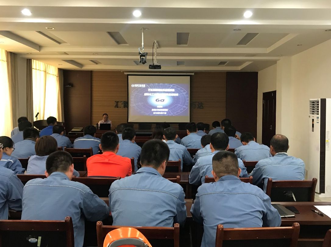 耐斯特炭黑、威特化工精益六西格玛基础知识培训按期开展