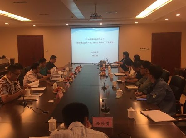 《万达集团股份有限公司高端化工产业园发展规划》专家评审会议顺利完成