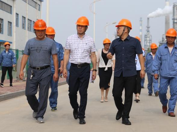 万达集团轮值总裁莅临威特化工有限公司进行资产核查工作