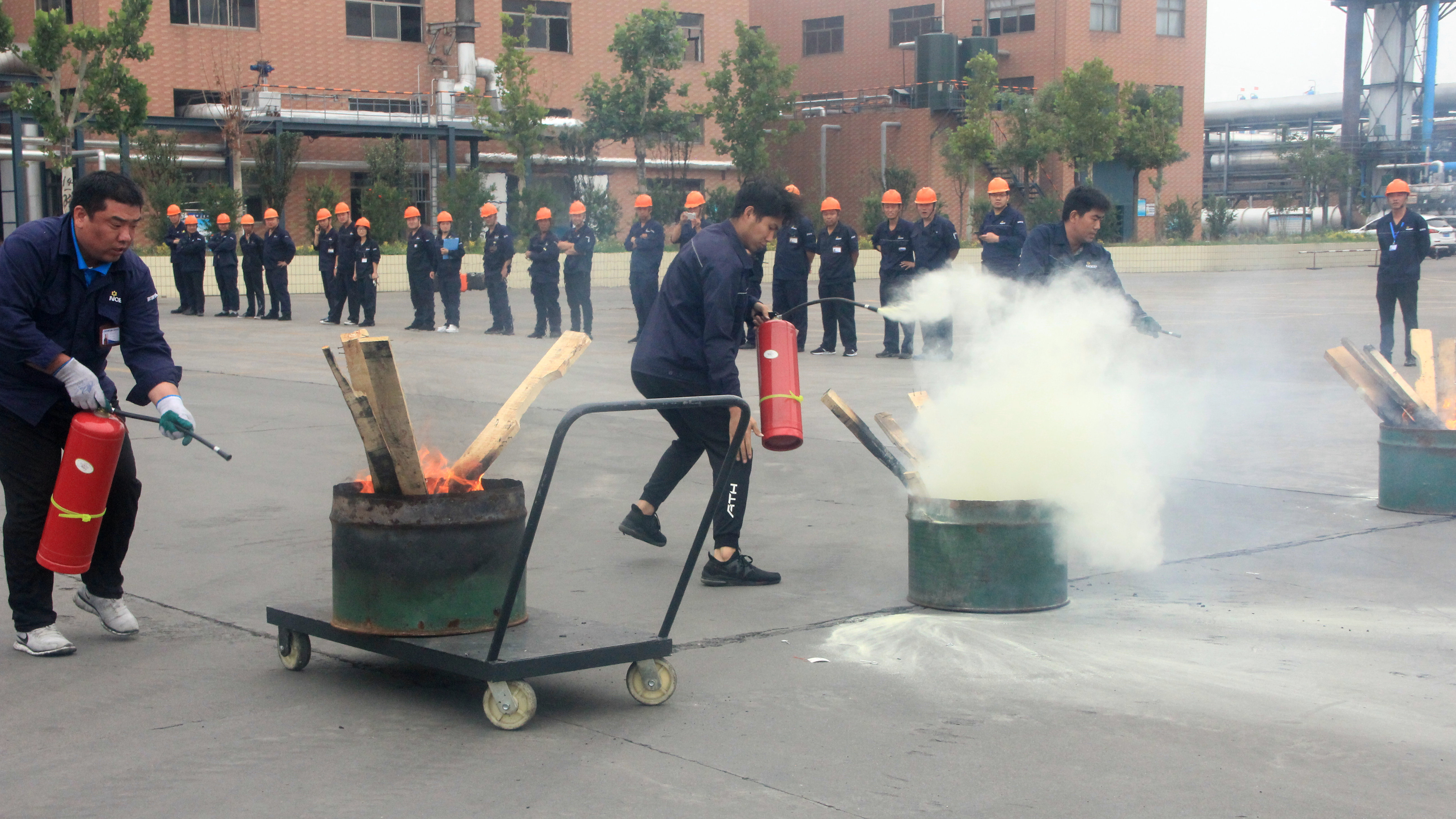 活动照片 (2).jpg