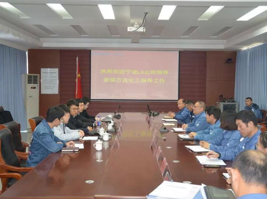 宁波LG甬兴公司到万达化工公司开展供应商审核相关工作