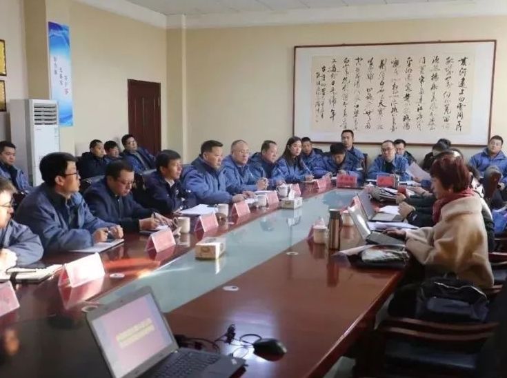 万达石化集团威特化工顺利通过三体系认证监督审核