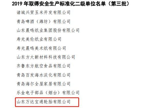 万达宝通轮胎顺利通过安全生产标准化二级企业达标复审