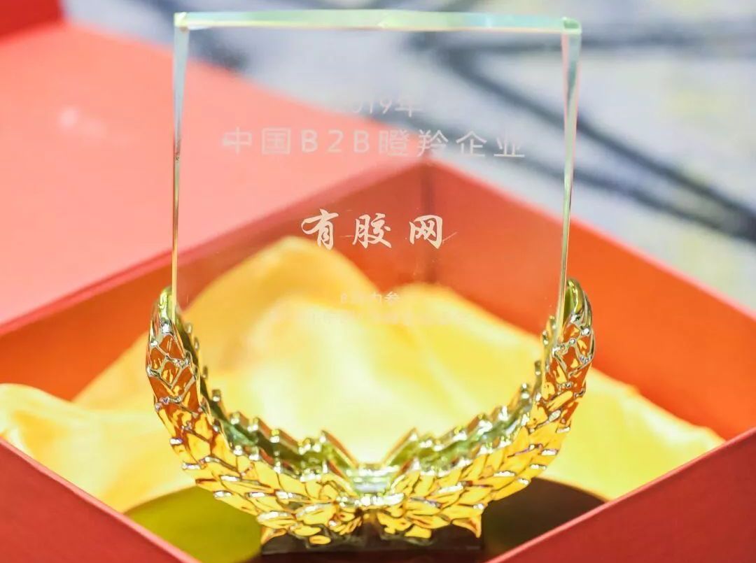 有胶网荣获&ldquo;2019年中国B2B瞪羚企业&rdquo;奖
