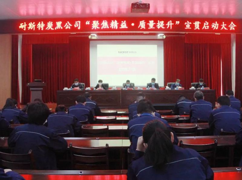 耐斯特炭黑公司组织召开&ldquo;聚焦精益 质量提升&rdquo;宣贯启动大会