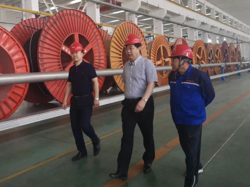集团公司董事局主席尚吉永到海缆公司督导检查生产经营情况