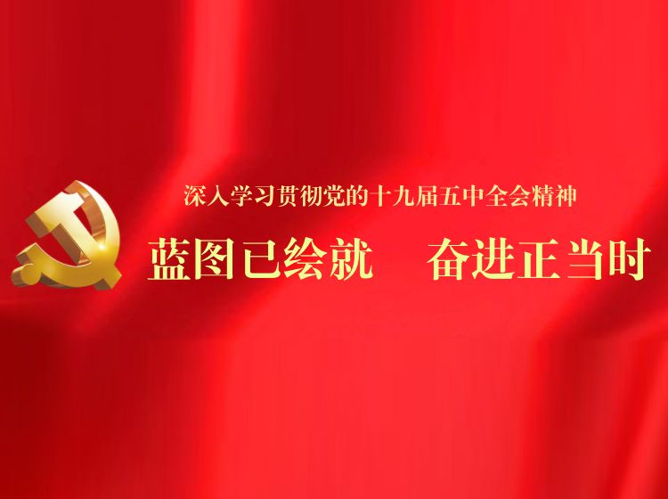 蓝图已绘就 奋进正当时丨万达集团掀起学习贯彻党的十九届五中全会精神热潮