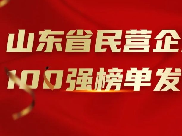 万达集团入选山东省民营企业100强